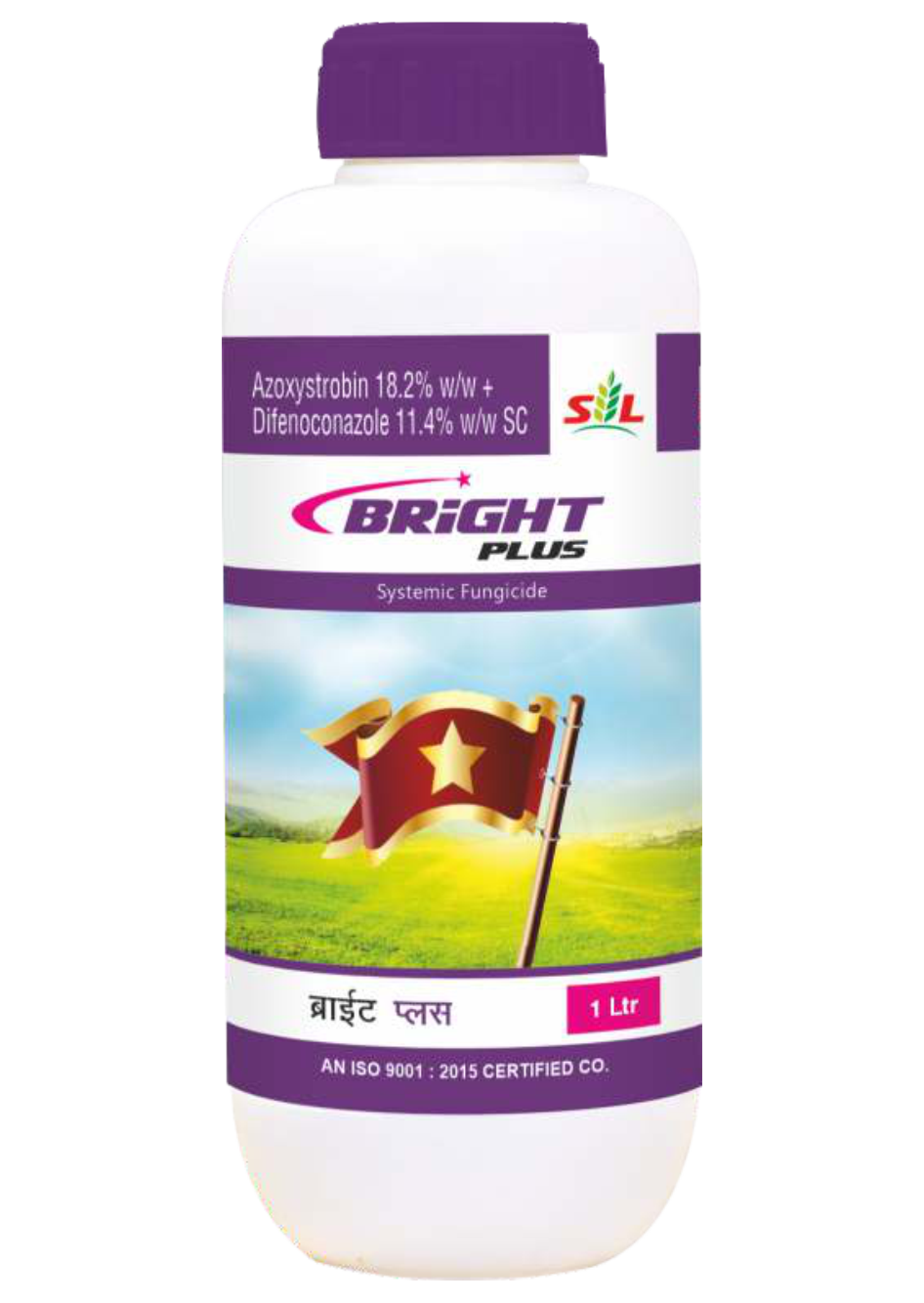 Bright Plus