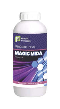 Magic Mida